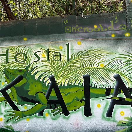 Hostal Kaia Santa Marta  Exteriér fotografie